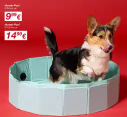 KiK Hunde-Pool Angebot