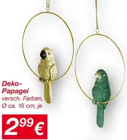 KiK Deko- Papagei Angebot