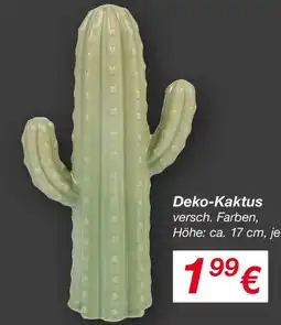 KiK Deko-Kaktus Angebot