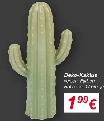 KiK Deko-Kaktus Angebot