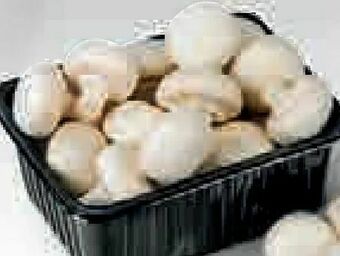 Billa Champignons Angebot