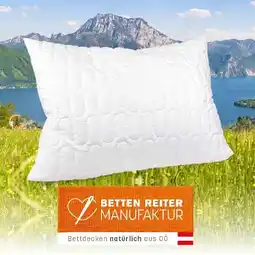 Reiter Bio-Polster „Chipo“ F2620901 1 Stück Rabatt exklusiv für Vorteilskund*innen Betten Reiter Angebot