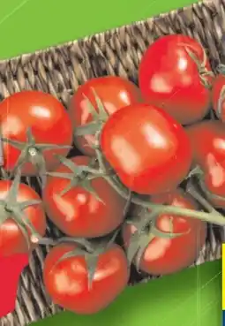 Lidl Strauchtomaten Angebot