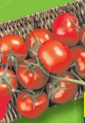 Lidl Strauchtomaten Angebot