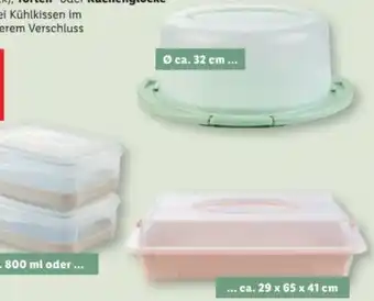 Lidl Livarno Home Kühl-Sortiment Angebot