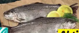 Lidl Holzinger Fisch Forelle Angebot