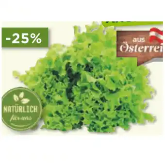 Unimarkt Bio Gentile Salat Unimarkt Angebot