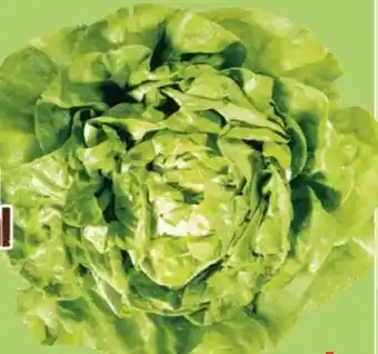 Maximarkt Eferdinger Kopfsalat Angebot