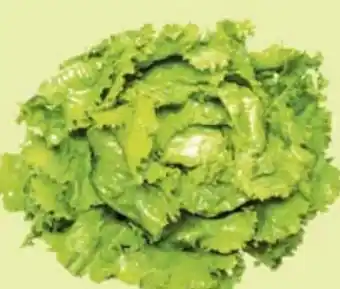Maximarkt Eferdinger Bologneser Salat Angebot