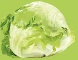 Maximarkt Eferdinger Eisbergsalat Angebot