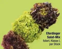 Maximarkt Eferdinger Salat-Mix Angebot