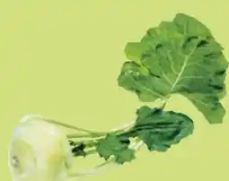 Maximarkt Eferdinger Kohlrabi Angebot