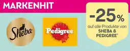 Bipa Sheba Pedigree Angebot