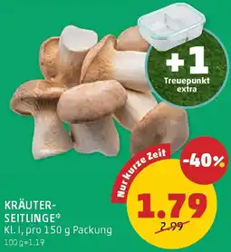 PENNY Kräuter- seitlinge Angebot