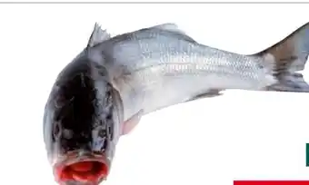 Transgourmet Vonatur Wolfsbarsch Angebot