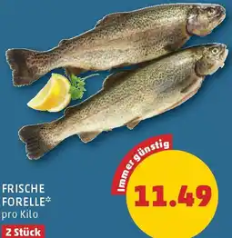 PENNY Frische forelle Angebot