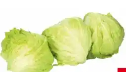 Transgourmet Eisbergsalat Angebot