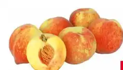 Transgourmet Pfirsiche Gelegt Angebot