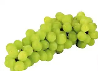 Transgourmet Trauben Angebot