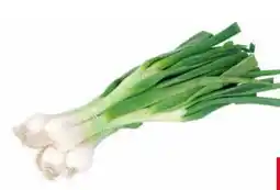 Transgourmet Jungzwiebel Angebot