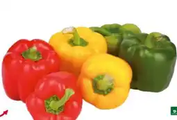 Transgourmet Natura Bio Paprika Mix Angebot