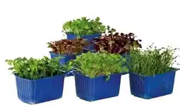 Transgourmet Kresse Sakura Mix Angebot