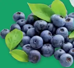 PENNY Heidelbeeren Angebot