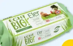 PENNY Echt Bio Eier Angebot