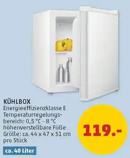PENNY Kühlbox Angebot