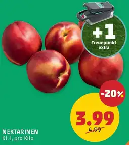 PENNY Nektarinen Angebot