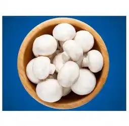 Lidl Champignons weiß Lidl APP Preis Angebot