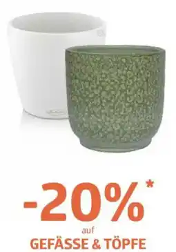Bellaflora Gefässe & töpfe Angebot