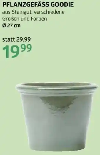 Bellaflora Pflanzgefäss goodie Angebot