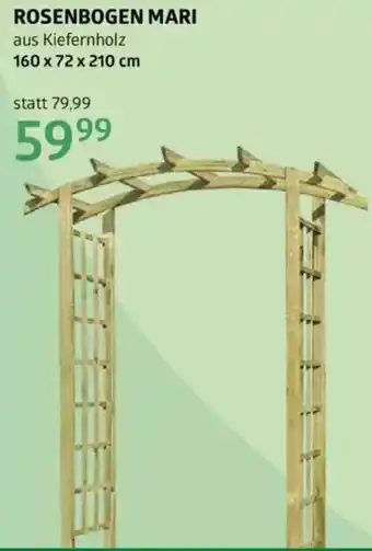 Bellaflora Rosenbogen mari Angebot