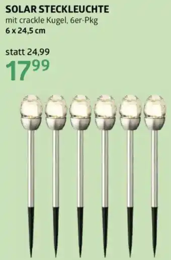 Bellaflora Solar steckleuchte Angebot