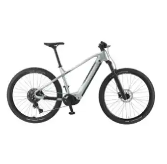 Hervis E-MOUNTAINBIKE HARDTAIL E-RACE 29 HERVIS Angebot