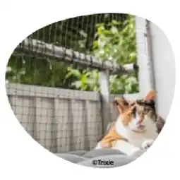 Das Futterhaus Schutznetz div. Größen DAS FUTTERHAUS Angebot