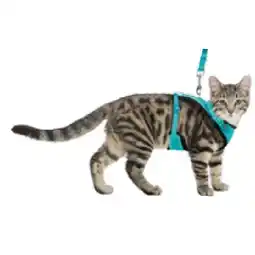 Das Futterhaus Katzengeschirr Y-Mesh-Geschirr DAS FUTTERHAUS Angebot