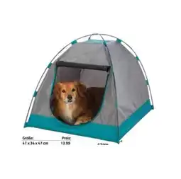 Das Futterhaus Zelt div. Größen DAS FUTTERHAUS Angebot
