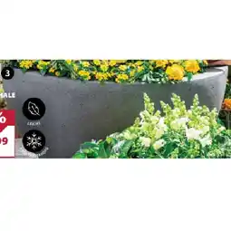 Dehner Pflanzschale 'Victoria' versch. Größen Dehner Angebot
