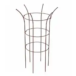 Dehner Pflanzstütze 'Chester', ca. B50/H70/T50 cm Dehner Angebot