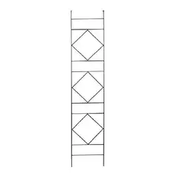 Dehner Spalier 'Liverpool' ca. B30/H150 cm Dehner Angebot