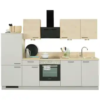 Möbelix Küchenzeile Win/plan Mit Geräte 280 Cm Hellgrau/wildeiche Angebot