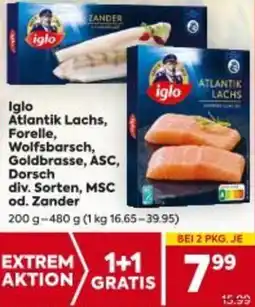 Billa Atlantik Lachs Angebot