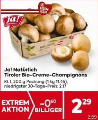 Billa Tiroler Bio-Creme-Champignons Angebot