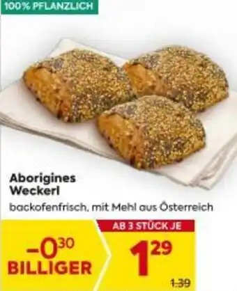 Billa Aborigines Weckerl Angebot