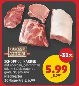 PENNY SCHOPF od. KARREE Angebot