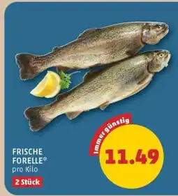 PENNY Frische Forelle Angebot