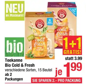 Maximarkt Teekanne Bio cold & fresh Angebot