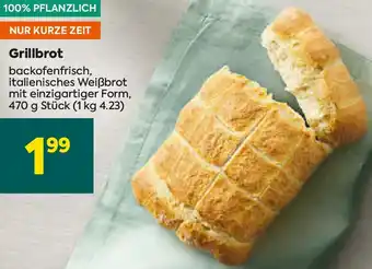 Billa Grillbrot Angebot